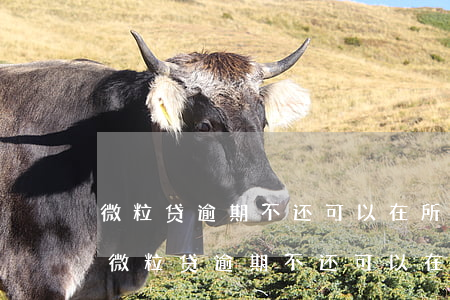 微粒贷逾期不还,可以在所有银行卡扣款吗-微粒贷逾期不还,可以在所有银行卡扣款吗