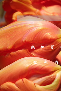 微粒贷逾期两个月会被法院起诉吗-微粒贷逾期两个月会被法院起诉吗知乎
