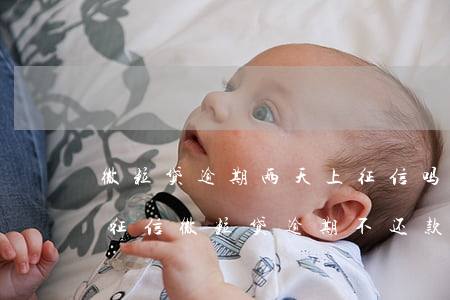 微粒贷逾期两天上征信吗(微粒贷逾期几天上征信?微粒贷逾期不还款的严重后果!)