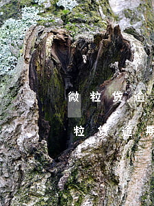 微粒贷逾期两天会有什么后果?,有奖问答-微粒贷逾期了两天对之后的借款有影响吗