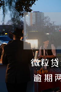 微粒贷逾期两天说短信通知联系人-微粒贷逾期两天说短信通知联系人怎么办