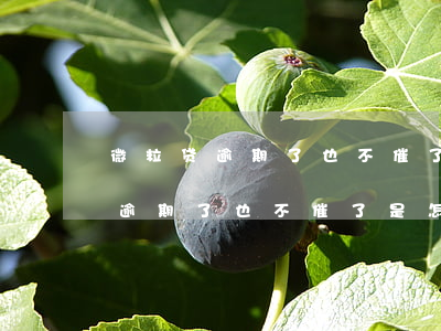 微粒贷逾期了也不催了是怎么回事-微粒贷逾期了也不催了是怎么回事儿