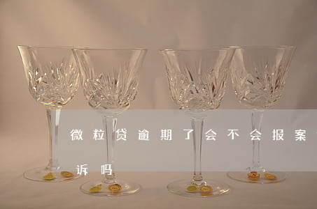 微粒贷逾期了会不会报案(微粒贷逾期有被起诉吗)