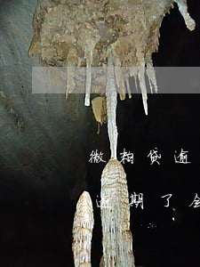 微粒贷逾期了会从微信零钱扣款吗-微粒贷逾期了会从微信零钱扣款吗安全吗
