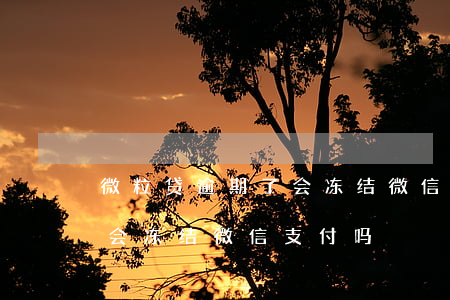 微粒贷逾期了会冻结微信吗（微粒贷逾期2年会冻结微信支付吗）
