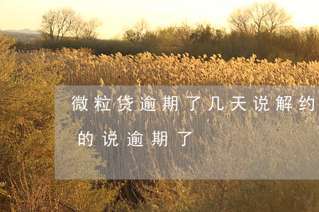 微粒贷逾期了几天说解约-微粒贷2天后还的说逾期了