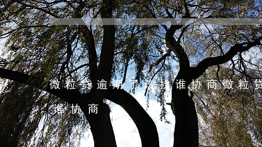 微粒贷逾期了该找谁协商(微粒贷逾期了该找谁协商)
