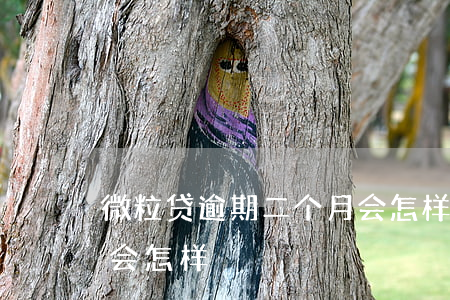 微粒贷逾期二个月会怎样(微粒贷逾期二个月会怎样)