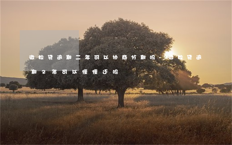 微粒贷逾期二年可以协商分期吗-微粒贷逾期2年可以慢慢还吗