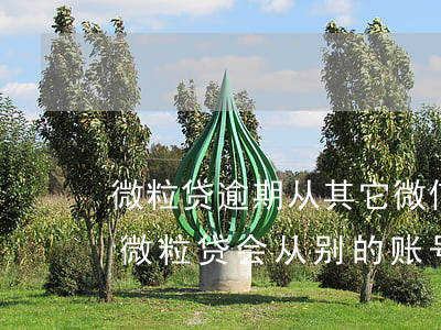 微粒贷逾期从其它微信扣款吗(一个微信欠了微粒贷会从别的账号扣钱吗)