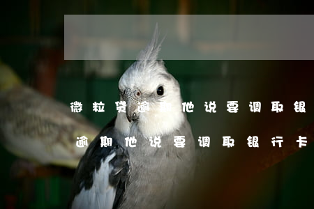 微粒贷逾期他说要调取银行卡记录-微粒贷逾期他说要调取银行卡记录是真的吗