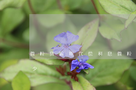 微粒贷逾期代偿利息(微粒贷逾期代偿利息多少)