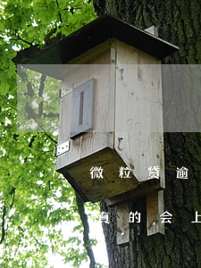 微粒贷逾期会上门讨债吗(微粒贷逾期是不是真的会上门)