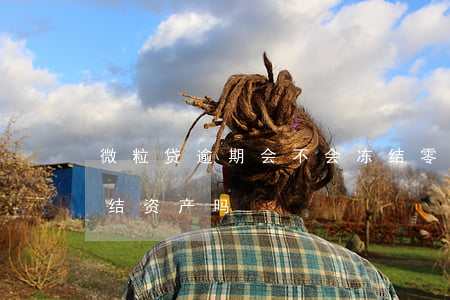 微粒贷逾期会不会冻结零钱(微粒贷逾期会冻结资产吗)
