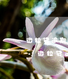 微粒贷逾期会不会直接扣走微信钱包里的钱-微粒贷逾期会不会直接扣走微信钱包里的钱呢