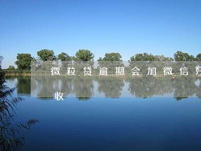 微粒贷逾期会加微信好友催收吗 微粒贷会催收?