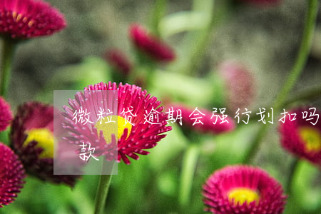 微粒贷逾期会强行划扣吗(微粒贷逾期强制全款)