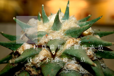微粒贷逾期会微信冻结-微粒贷逾期微信的钱会不会被冻结