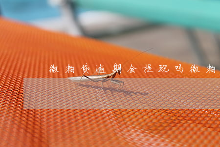 微粒贷逾期会提现吗(微粒贷借钱能提现吗)