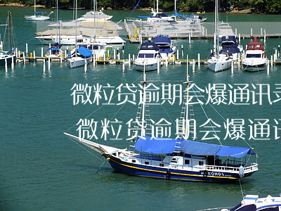 微粒贷逾期会爆通讯录吗?你绝对想不到!-微粒贷逾期会爆通讯录吗你绝对想不到!