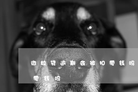 微粒贷逾期会被扣零钱吗(微粒贷会强行扣除零钱吗)