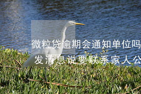 微粒贷逾期会通知单位吗(微粒贷逾期10天发消息说要联系家人公司单位)