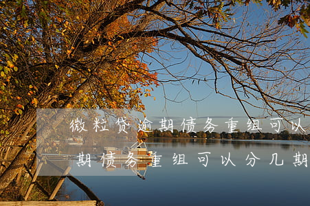 微粒贷逾期债务重组可以分几期-微粒贷逾期债务重组可以分几期还款