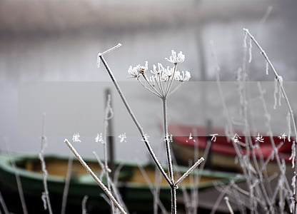 微粒贷逾期六万会起诉么