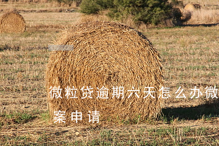 微粒贷逾期六天怎么办 微粒贷逾期6天就立案申请?