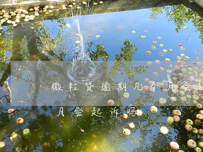 微粒贷逾期几个月会被起诉 微粒贷逾期一个月会起诉吗