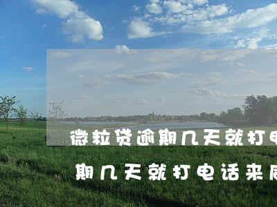 微粒贷逾期几天就打电话来威胁-微粒贷逾期几天就打电话来威胁我了