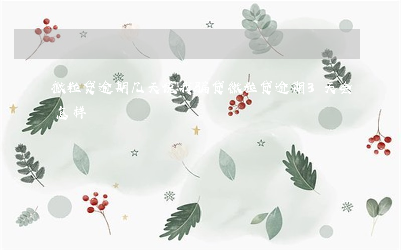 微粒贷逾期几天说我骗贷(微粒贷逾期3天会怎样?)