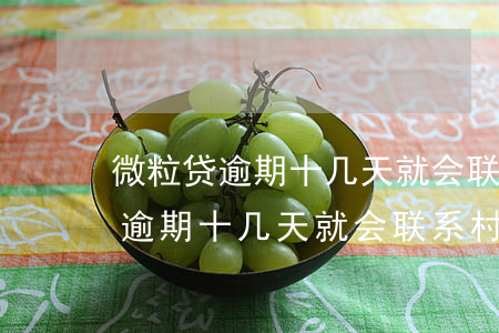 微粒贷逾期十几天就会联系村委吗-微粒贷逾期十几天就会联系村委吗是真的吗