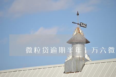 微粒贷逾期半年1万六(微粒贷逾期一万)