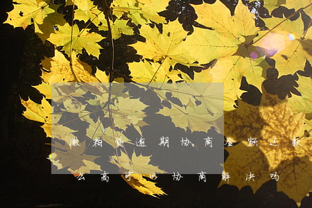 微粒贷逾期协商全额还款(微粒贷逾期利息那么高可以协商解决吗)