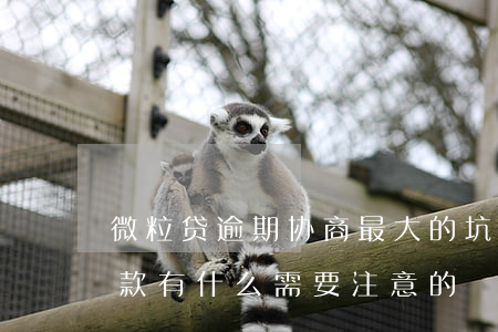 微粒贷逾期协商最大的坑(微粒贷逾期协商还款有什么需要注意的)