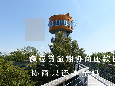 微粒贷逾期协商还款日期(微粒贷逾期后可以协商只还本金吗)