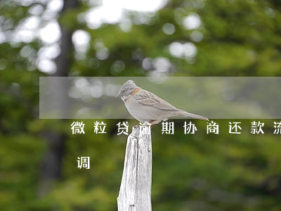 微粒贷逾期协商还款流程(微粒贷逾期如何协调)