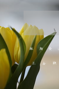微粒贷逾期发短信给配偶(微信微粒贷逾期会不会联系手机通讯录)