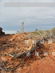 微粒贷逾期后只能转账还款(微粒贷还款逾期还能再贷吗)