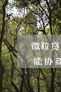 微粒贷逾期后可以协商吗(微粒贷逾期了能不能协商还款)