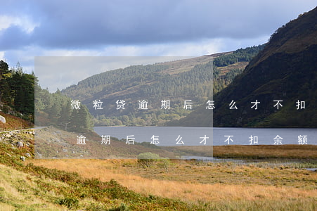微粒贷逾期后怎么才不扣余额的钱-微粒贷逾期后怎么才不扣余额的钱呢