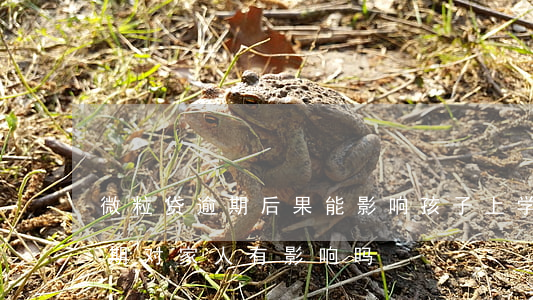 微粒贷逾期后果能影响孩子上学-微粒贷逾期对家人有影响吗