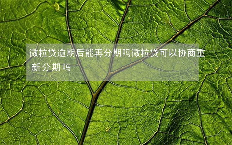 微粒贷逾期后能再分期吗(微粒贷可以协商重新分期吗)