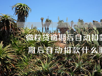 微粒贷逾期后自动扣款什么时候-微粒贷逾期后自动扣款什么时候恢复