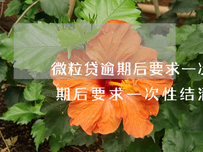 微粒贷逾期后要求一次性结清吗-微粒贷逾期后要求一次性结清吗是真的吗