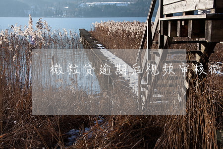 微粒贷逾期后视频审核(微粒贷借款视频审核)