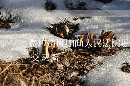微粒贷逾期向人民法院提出申请-微粒贷提交法院