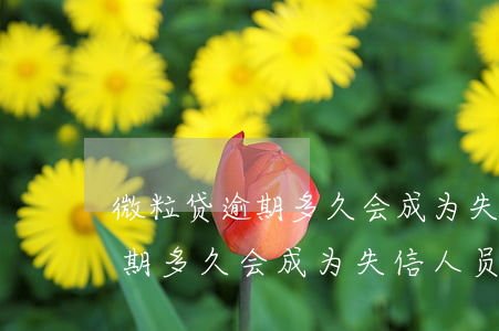 微粒贷逾期多久会成为失信人员-微粒贷逾期多久会成为失信人员名单