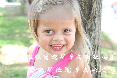 微粒贷逾期多久会被起诉已经经侦立案（微粒贷逾期法院多久会受理）